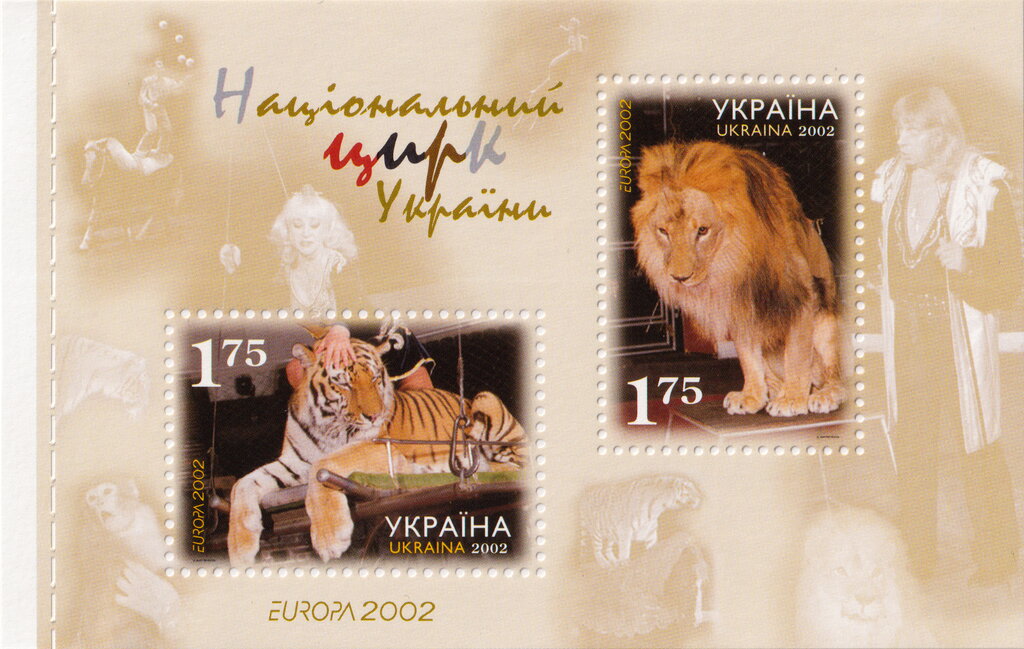 Tiger (Panthera tigris), Lion (Panthera leo)