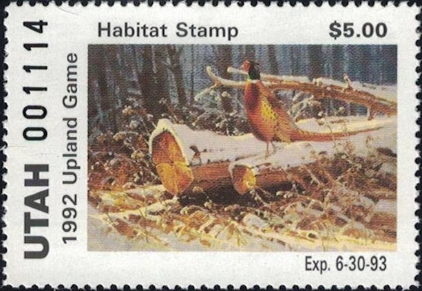 Pheasant on log