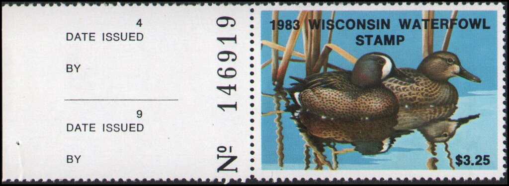 Blue-winged teal (Anas discors)