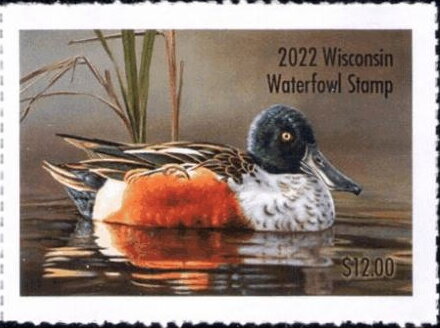 Ducks