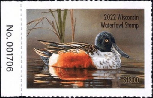 Ducks