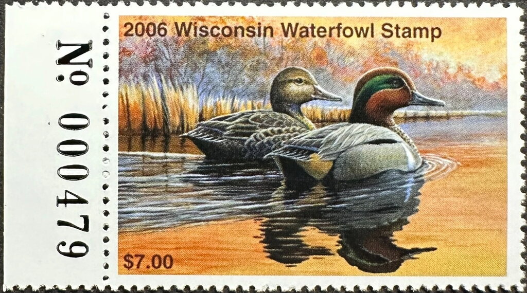Green-winged teal (Anas carolinensis)