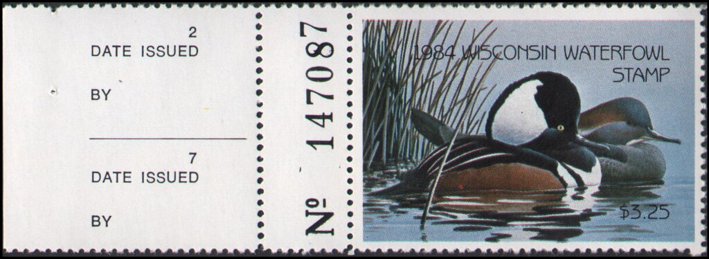 Hooded merganser (Lophodytes cucullatus)