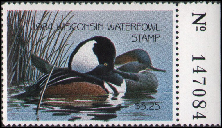 Hooded merganser (Lophodytes cucullatus)