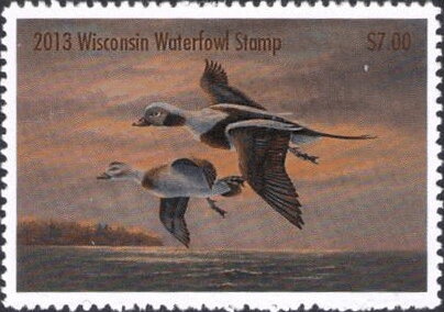 Stamp, Long-tailed duck (Clangula hyemalis), Wisconsin (WI),  , Animals (Fauna), Birds, Ducks, Hunting