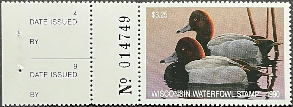 Redhead (Aythya americana)