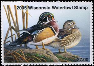 Stamp, Wood duck (Aix sponsa), Wisconsin (WI),  , Animals (Fauna), Birds, Ducks, Hunting