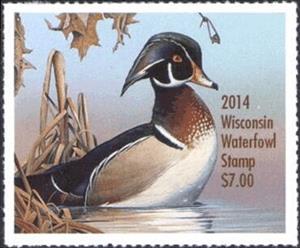 Stamp, Wood duck (Aix sponsa), Wisconsin (WI),  , Animals (Fauna), Birds, Ducks, Hunting