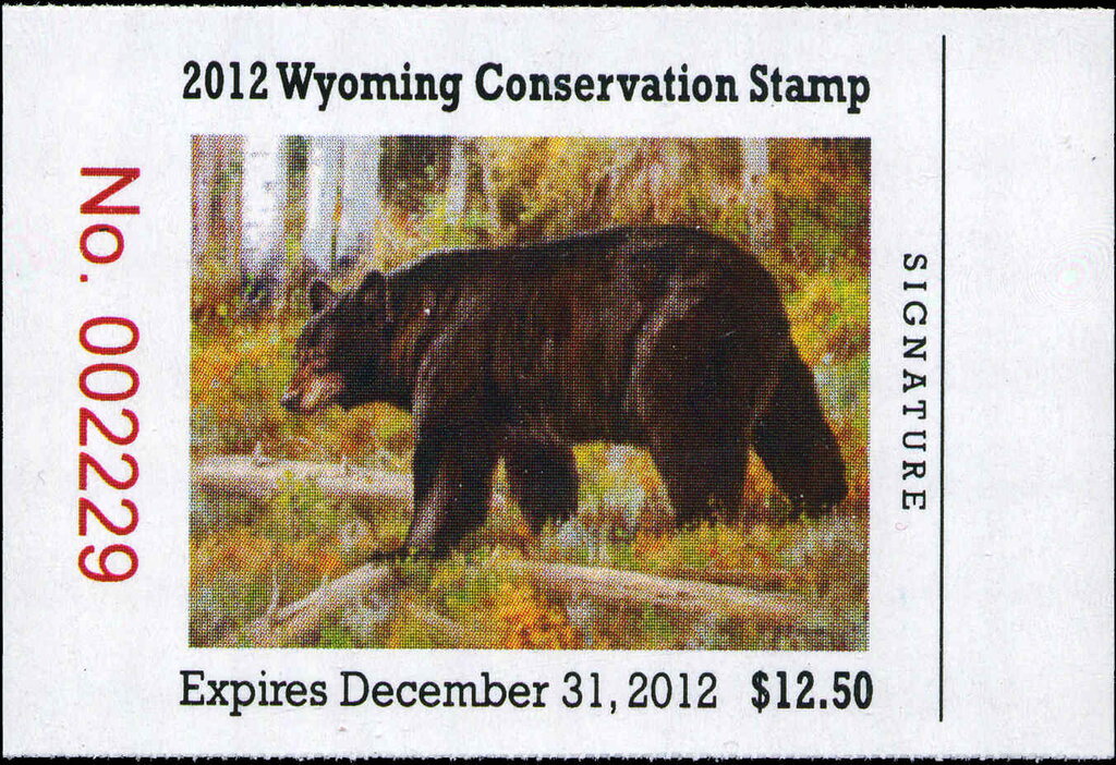 Black bear (Ursus americanus)