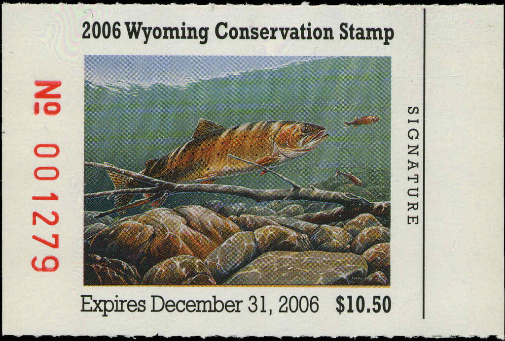 Cutthroat trout (Oncorhynchus clarkii clade)