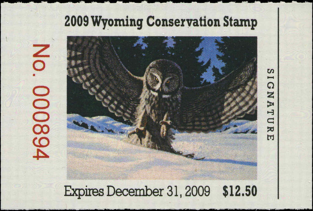 Great grey owl (Strix nebulosa)