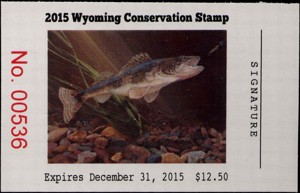 Sauger (Sander canadensis)