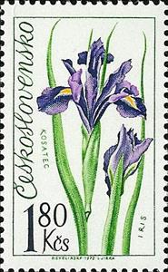 Stamp, Iris, Czechoslovakia,  , Flowers, Plants (Flora)