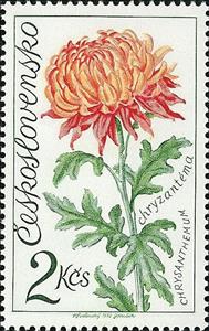 Stamp, Chrysanthemum, Czechoslovakia,  , Flowers, Plants (Flora)
