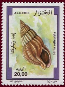Stamp, Netted Dog Whelk (Hinia reticulata), Algeria,  , Shells