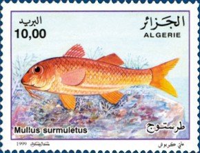 Stamp, Striped Red Mullet (Mullus surmuletus), Algeria,  , Animals (Fauna), Fishes