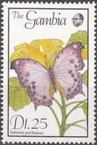 Stamp, Forest Mother-of-pearl (Salamis parhassus), Gambia,  , Butterflies