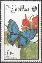 Stamp, Brilliant Blue (Precis rhadama), Gambia,  , Butterflies