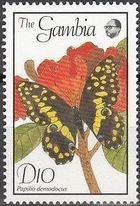 Citrus Swallowtail (Papilio demodocus)