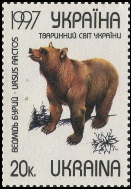 Brown Bear (Ursus arctos)