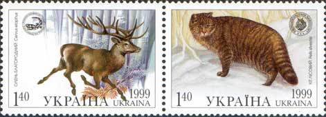 Red Deer (Cervus elaphus), Wildcat (Felis silvestris)