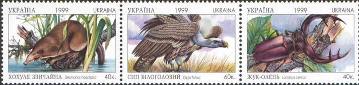 Russian Desman (Desmana moschata), Stag Beetle (Lucanus cerv