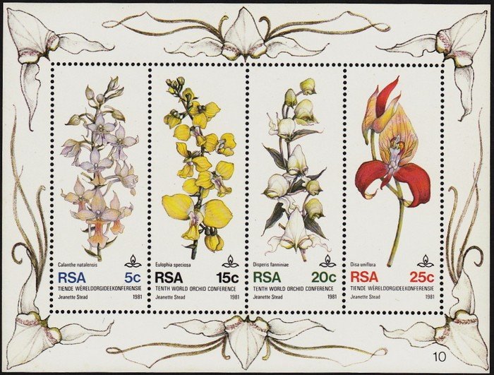 Flore