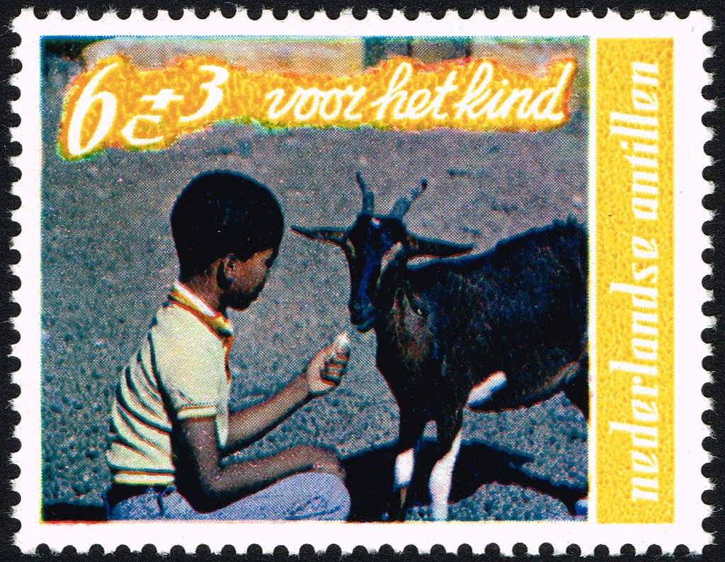 Boy and goat