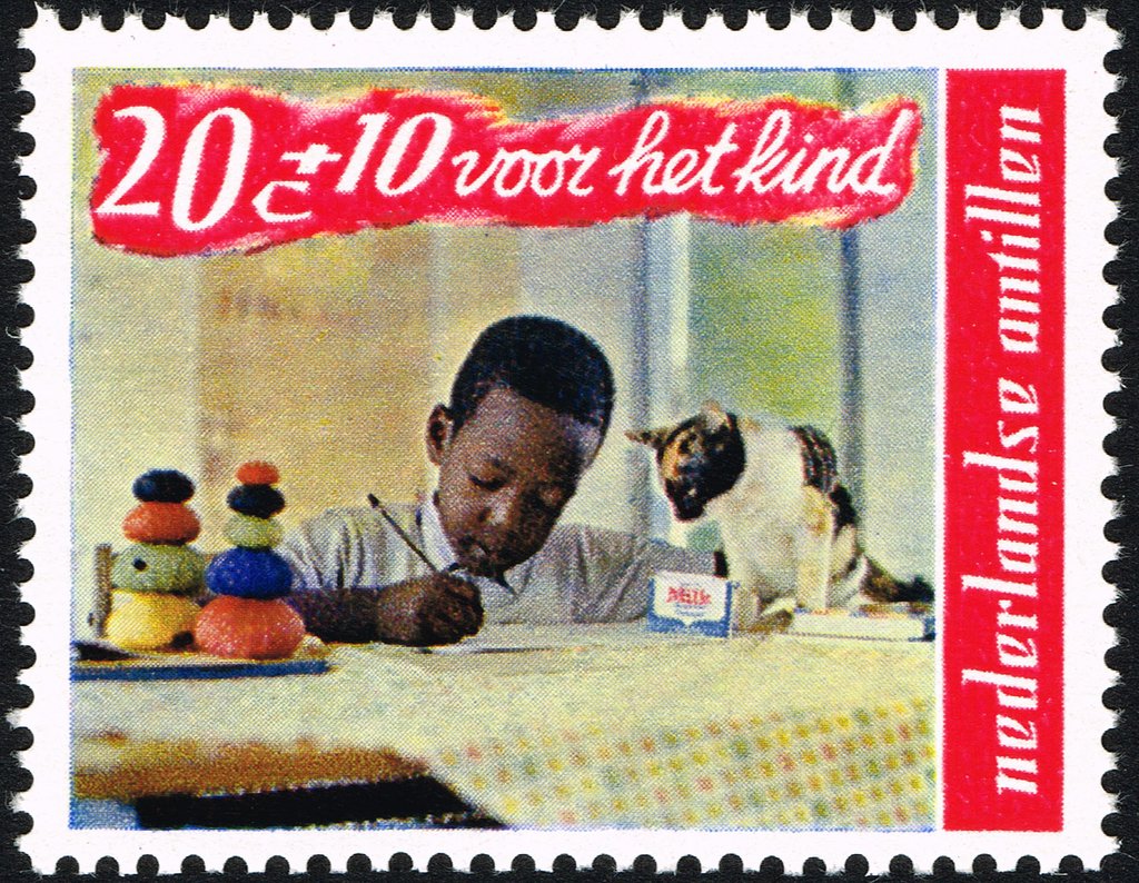 Boy and pet cat