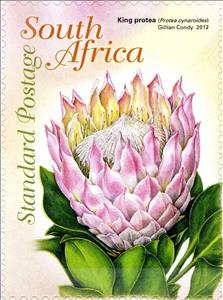 Stamp, Protea royale, South Africa,  