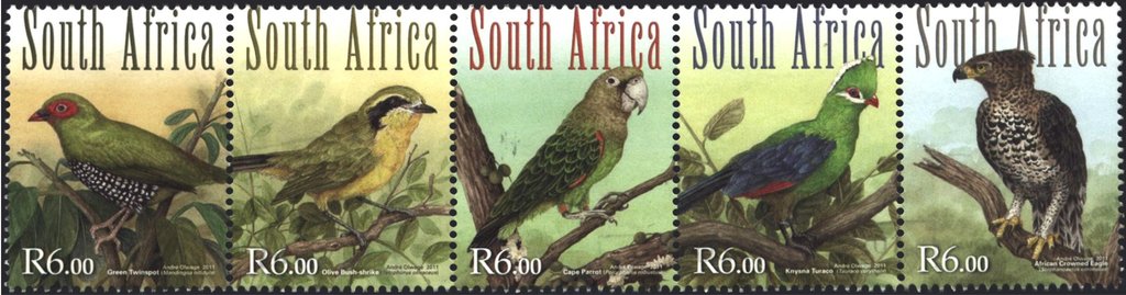 South African Forest Birds - MiNo. 2058-62