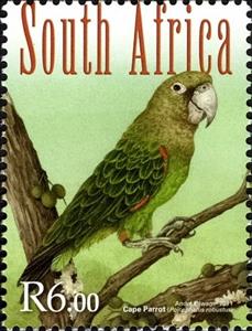 Stamp, Cape Parrot (Poicephalus robustus), South Africa,  , Birds, Parrots