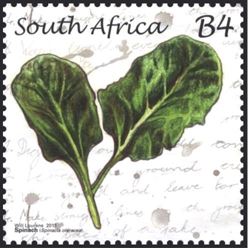 Spinach