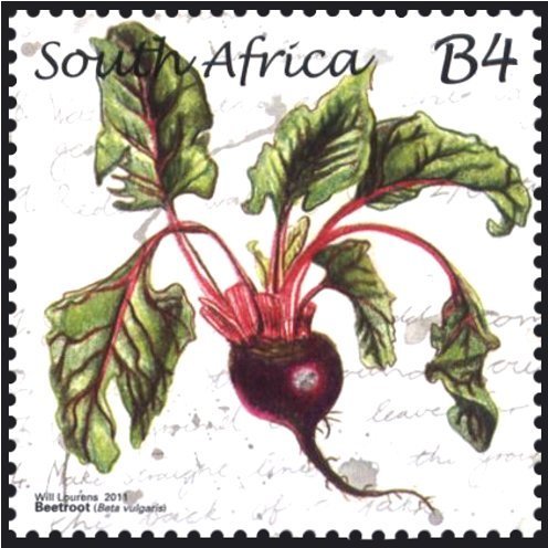 Beetroot