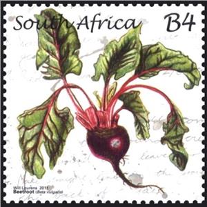 Stamp, Beetroot, South Africa,  , Plants (Flora), Vegetables