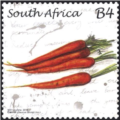 Carrot
