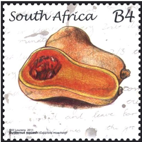 Butternut Squash