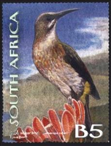 Stamp, Cape Sugarbird (Promerops cafer), South Africa,  , Birds, Animals (Fauna)