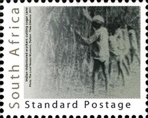 Stamp, Indian Indentured Workers Cutting Sugar Cane, South Africa,  