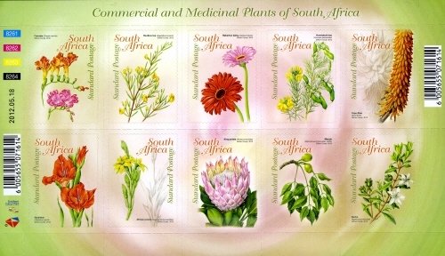 Commercial and medicinal plants -