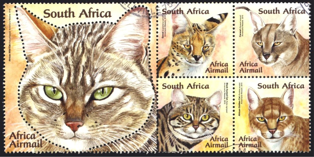 Small Wild Cats of Africa - MiNo. 2037-41