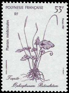 Stamp, Ophioglossum reticulatum, French Polynesia,  