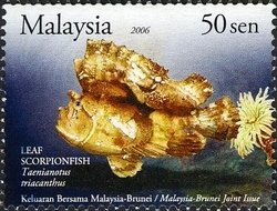 Leaf Scorpionfish (Taenianotus triacanthus)