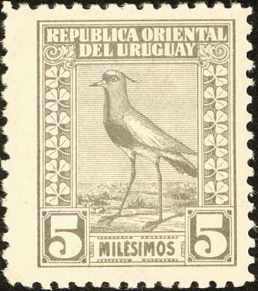 Southern Lapwing (Vanellus chilensis)