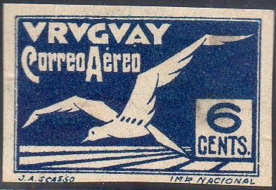 Albatross bird
