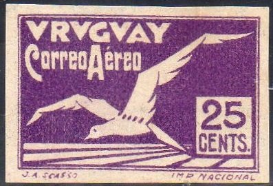 Albatross bird