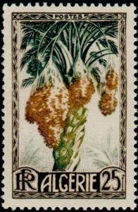 Stamp, Dates, Algeria,  , Fruits