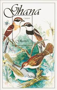 Souvenir Sheet, Senegal Batis (Batis senegalensis), Ghana,  , Birds, Animals (Fauna)