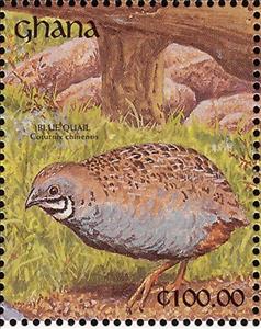 Stamp, Blue Quail (Excalfactoria adansonii), Ghana,  , Birds, Animals (Fauna)