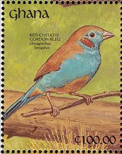 Stamp, Red-cheeked Cordon-bleu (Uraeginthus bengalus), Ghana,  , Birds, Animals (Fauna)